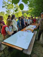 waldjugendspiele2024-4